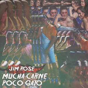 Mucha Carne Poco Gato