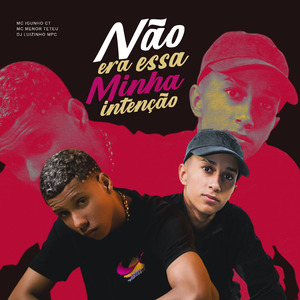 Não Era Essa Intenção