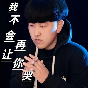 我不会再让你哭（DJ李想版）