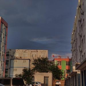 温热蝙蝠日记（翻自：柳戈）