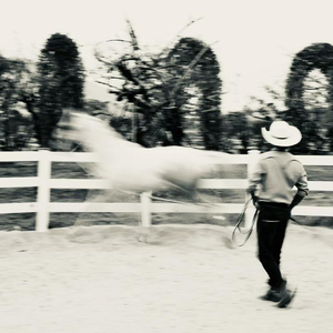 纯爱/Pak Söygü