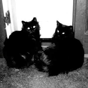 苦爱(prod.by Morrow)