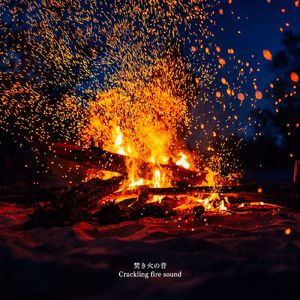 焚き火の音でリラックスして眠る静かな夜に聴くBGM
