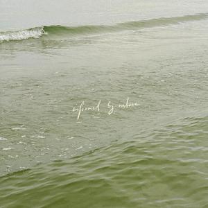 sage green everywhere