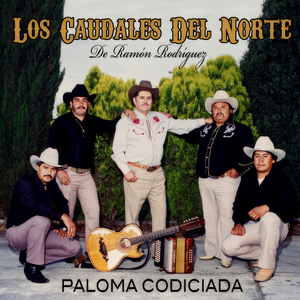 Paloma Codiciada