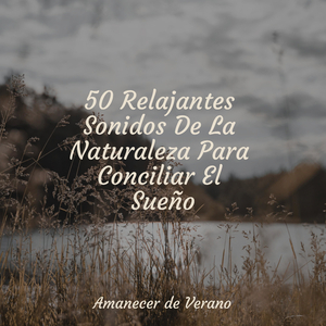 El Encantador Aroma de Java