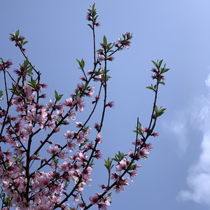 守时（cover王菲）.wav