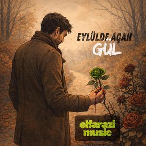 Eylülde Açan Gül