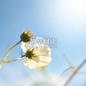 平静之湖