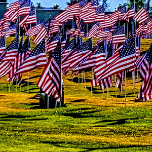 I'm Just a Black Man in America