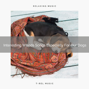 Stress Relief Stream Noises For Couch, Dearest Dogs