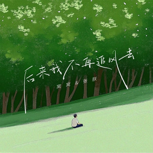 后来我不再追风去