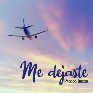 Me dejaste
