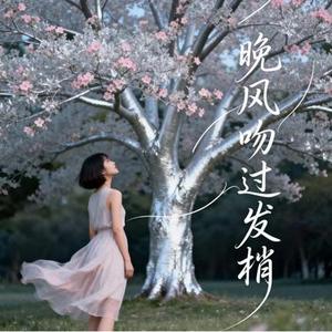 晚风吻过发梢   (Remix)