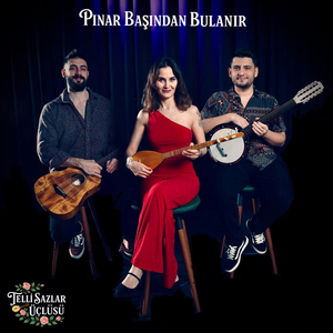 Pınar Başından Bulanır