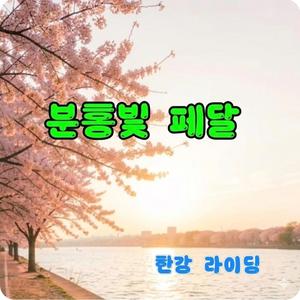 분홍빛 페달