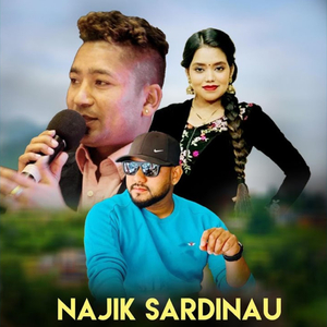 Najik Sardinau
