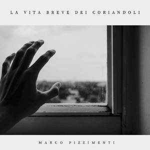 La vita breve dei coriandoli