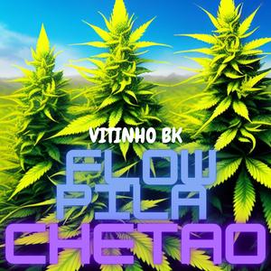 FLOW PILA CHETAO