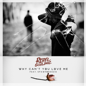 Why Can't You Love Me