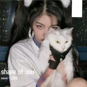 shape of you (小黄人)