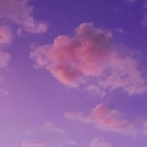 夏夜风过