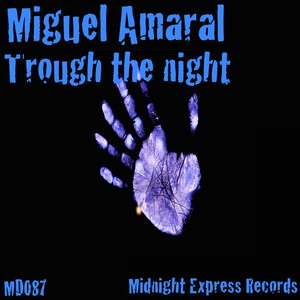 Trough The Night (Instrumental Dub)