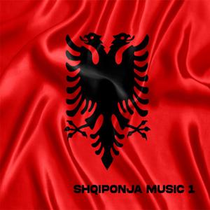 Ne mitrovic na rrehi teli