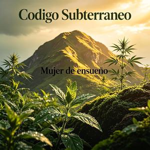 Mujer De Ensueño