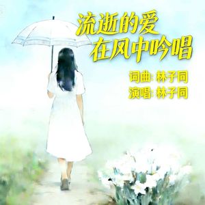 流逝的爱在风中吟唱