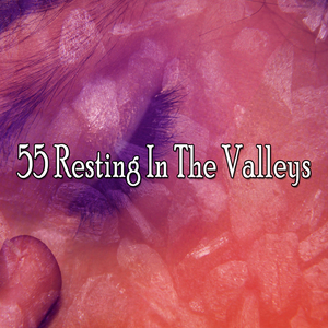 解放你的大腦去睡覺