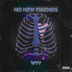 No New Friends
