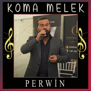 Perwin