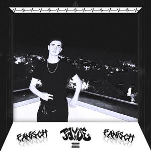 Panisch