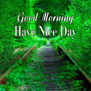 Morning In The Slag Ravine