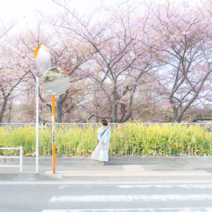 Rain (feat. 初音ミク)