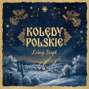 Wśród nocnej ciszy