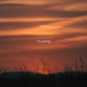 Meaning