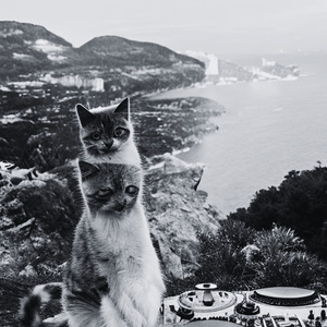 idfc (Slowed) (Remix)