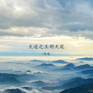 天道之王胡天霸