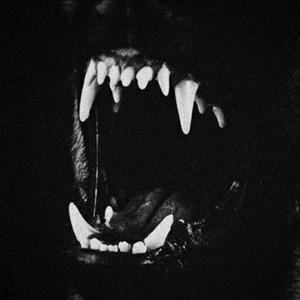 SENSATION（T U-S H A.† SLOWED）