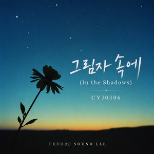 그림자 속에 (In the Shadows)