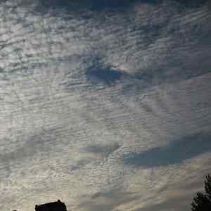 我的世界谁都不像你