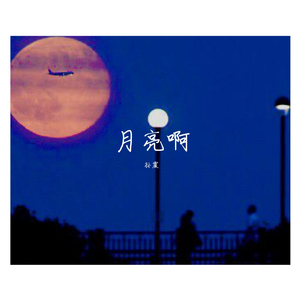 月亮我的姑娘在何方