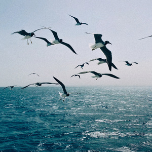 моє море (Acoustic version)