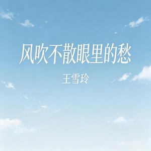 风吹不散眼里的愁