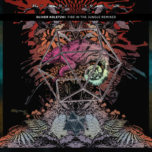 The Arctic Voice (RDNK Remix)