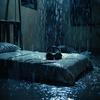 Sleeping Voyage - Sleep Rain Binaural Rhythm