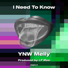 YNW Melly - I Need To Know