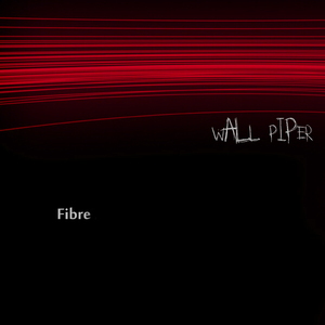 Fibre